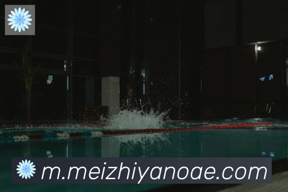 博亚体育app官方网站APP 封面图