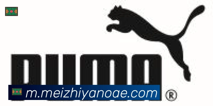 博亚体育app官方网站合作伙伴